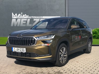 Kodiaq Selection 2,0 TDI 4x4 DSG+AHK+PDC+LED+